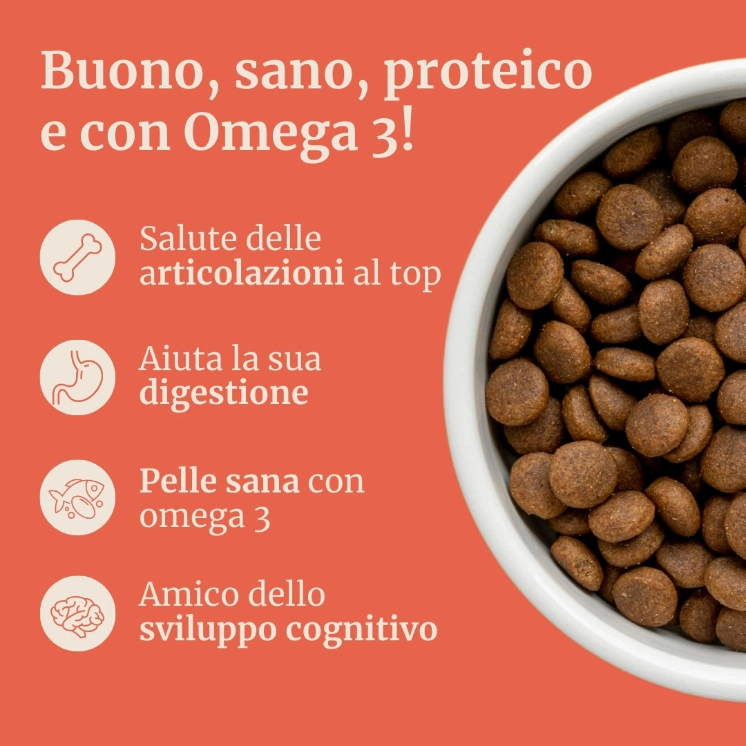 Crocchette con Salmone, Eglefino, Pesce Bianco, Patate Dolci e Asparagi per cani cuccioli di taglia media