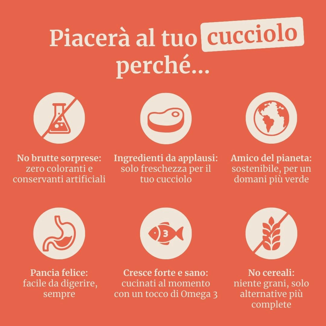 Crocchette con Salmone, Eglefino, Pesce Bianco, Patate Dolci e Asparagi per cani cuccioli di taglia media