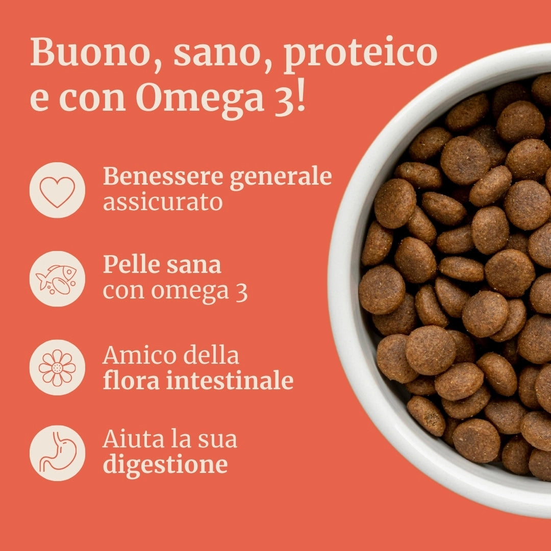 Crocchette con Salmone, Trota, Patate Dolci e Asparagi per cani adulti di taglia media