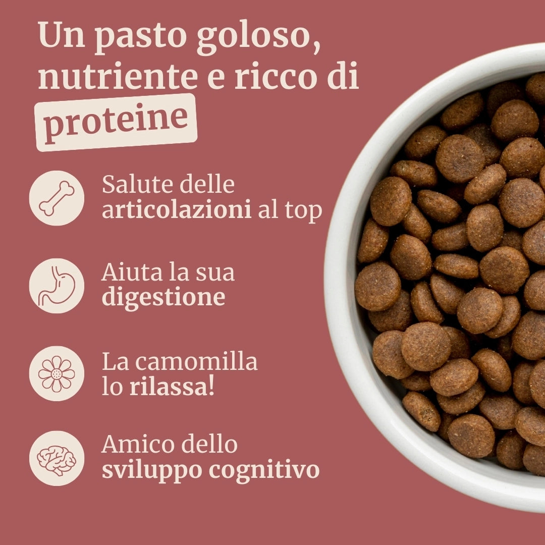 Crocchette con Tacchino, Anatra, Patate Dolci, Aneto e Camomilla per cani cuccioli di taglia piccola