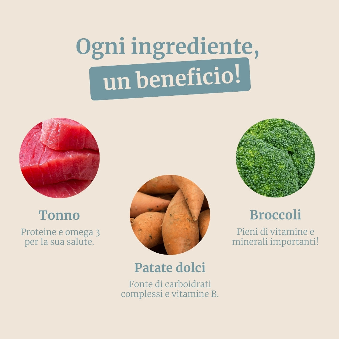 Crocchette con Tonno, Patate Dolci e Broccoli per cani adulti di taglia media