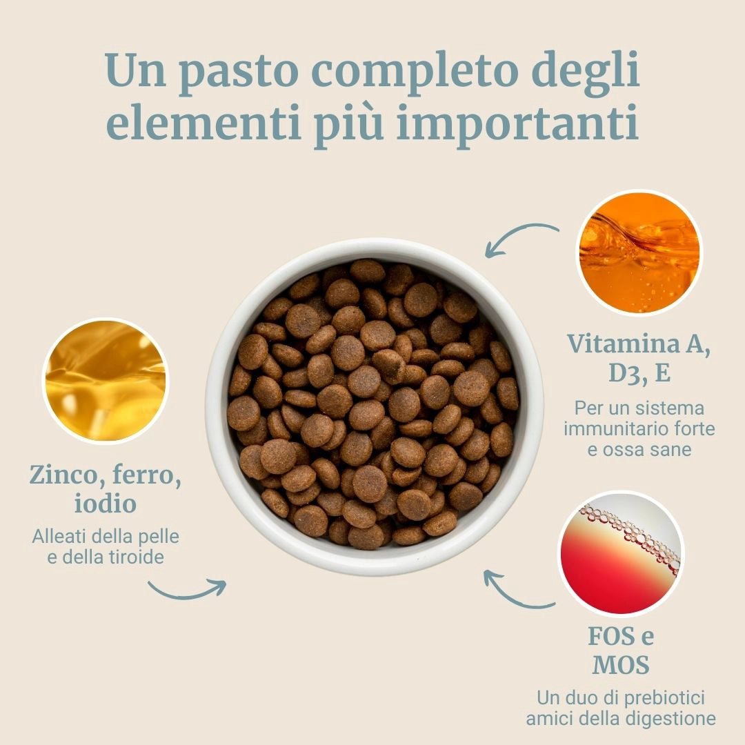 Crocchette con Tonno, Patate Dolci e Broccoli per cani adulti di taglia media