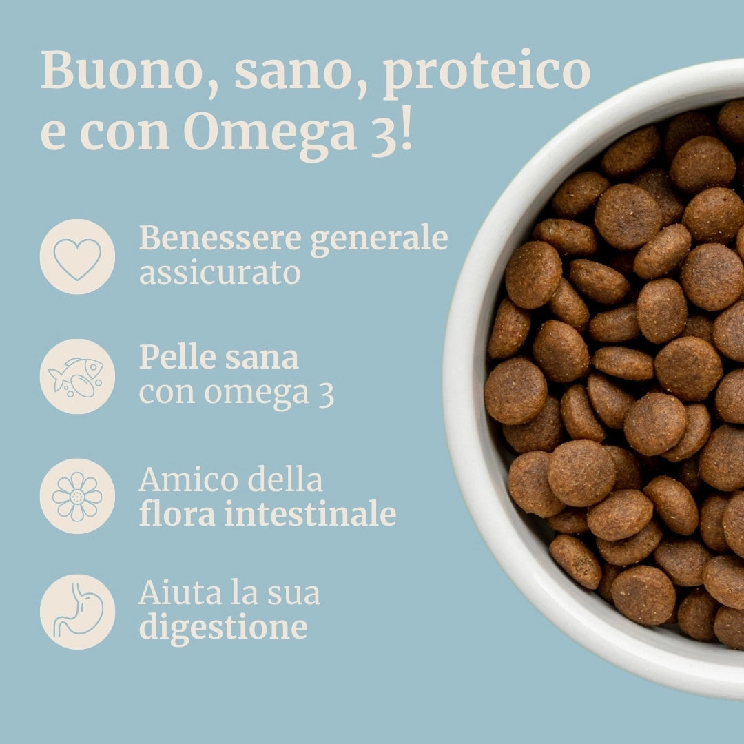 Crocchette con Tonno, Patate Dolci e Broccoli per cani adulti di taglia media