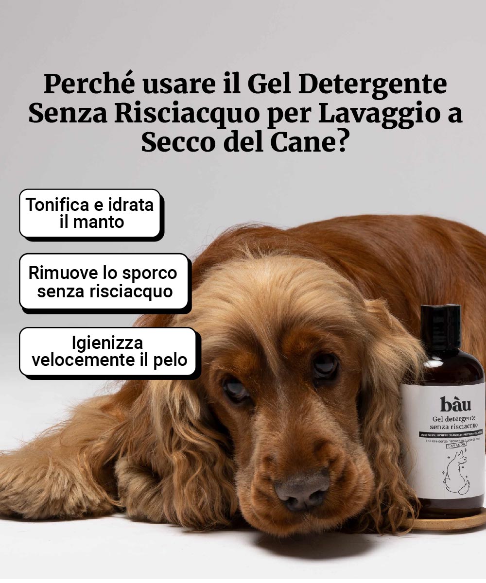 Gel detergente senza risciacquo