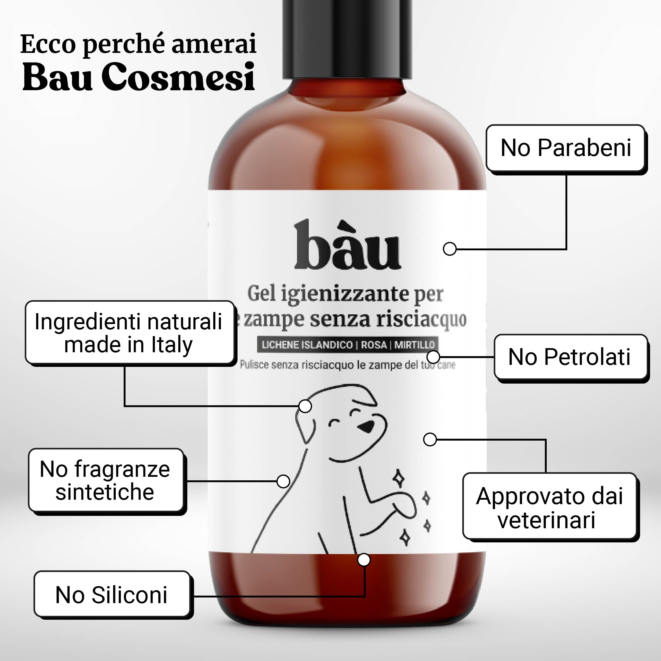 Gel igienizzante per le zampe senza risciacquo