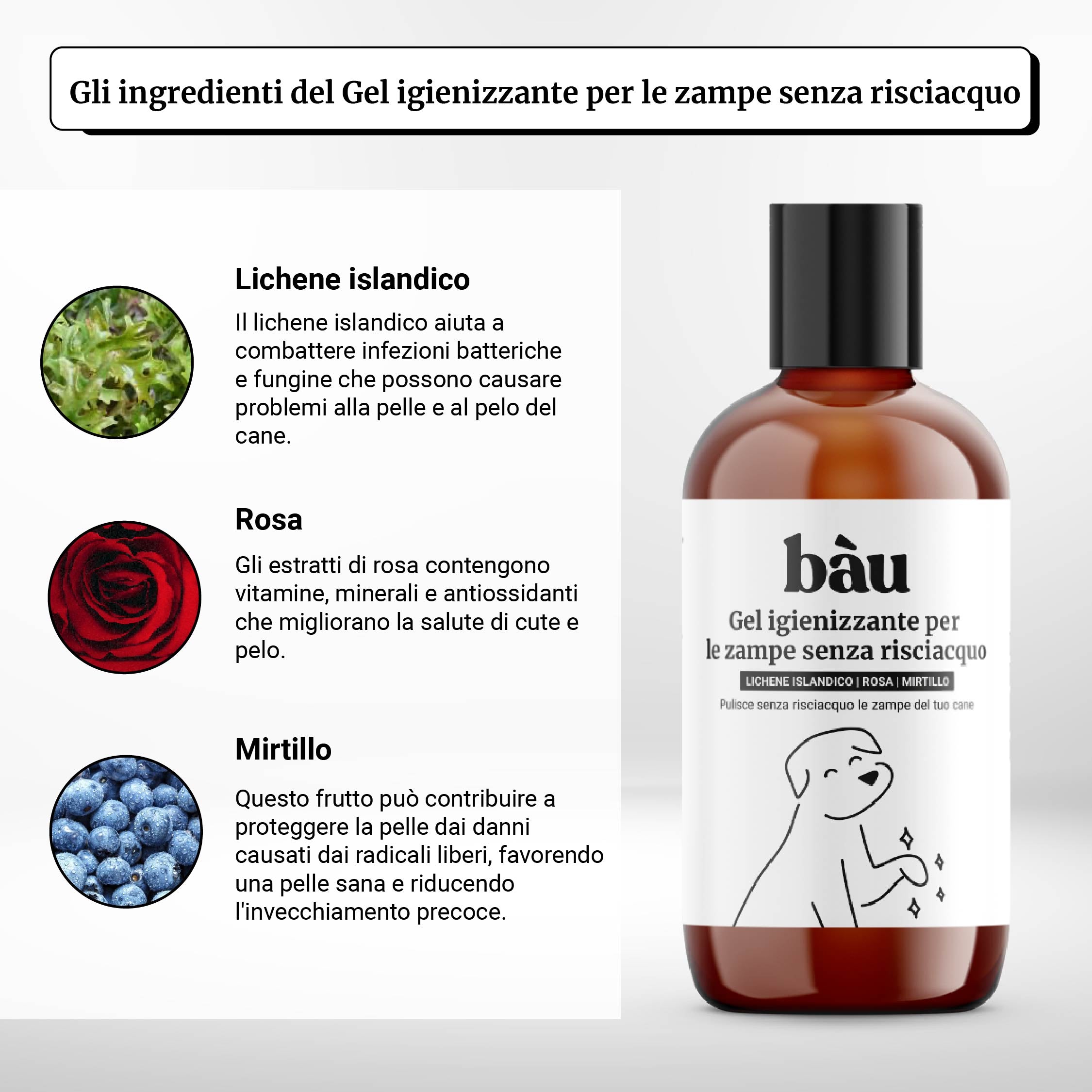 Gel igienizzante per le zampe senza risciacquo