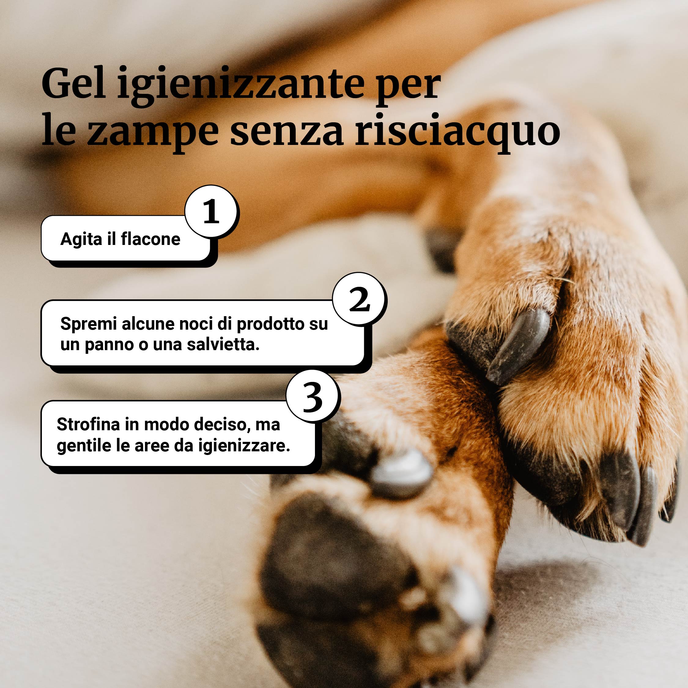 Gel igienizzante per le zampe senza risciacquo