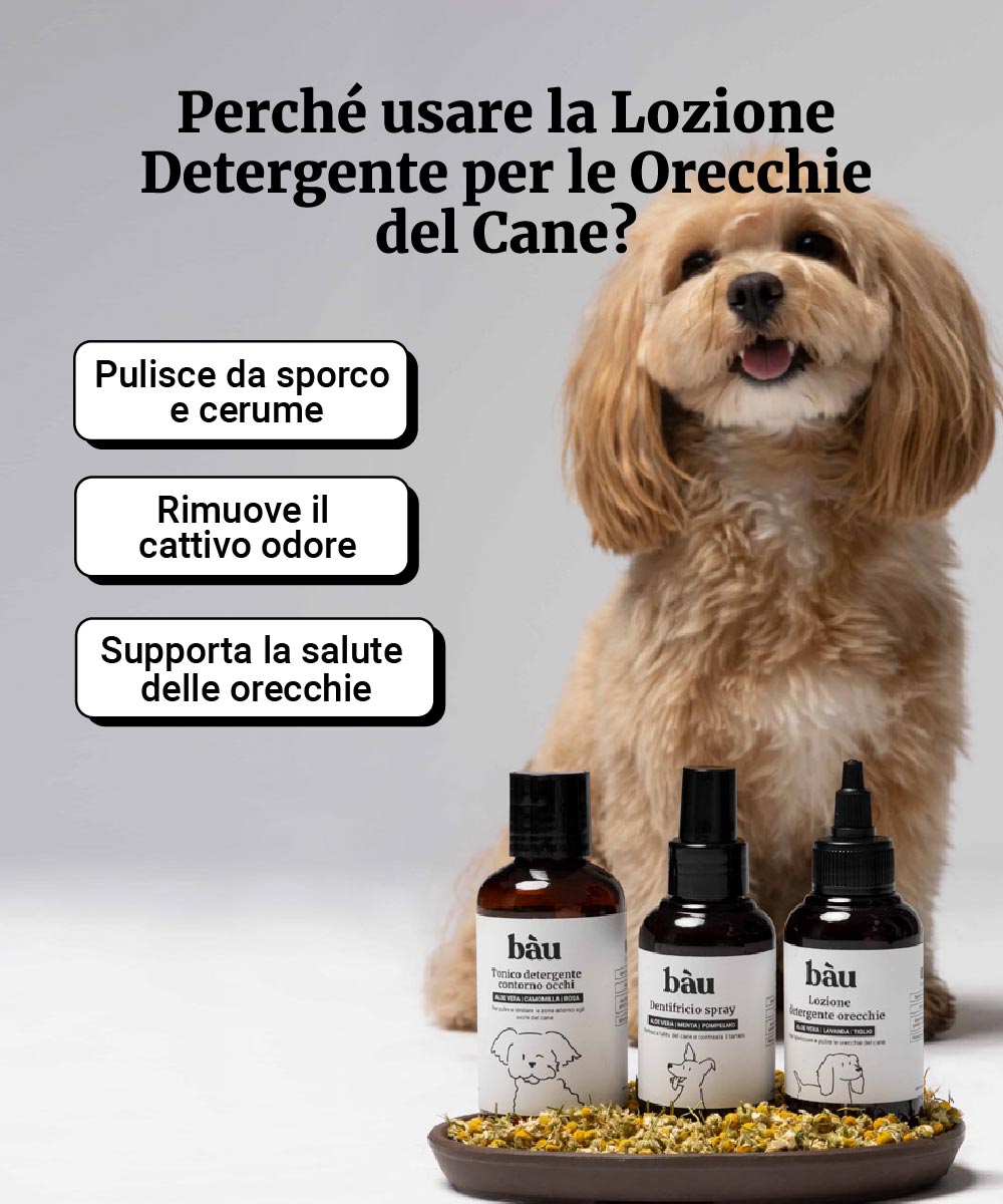Lozione detergente per le orecchie