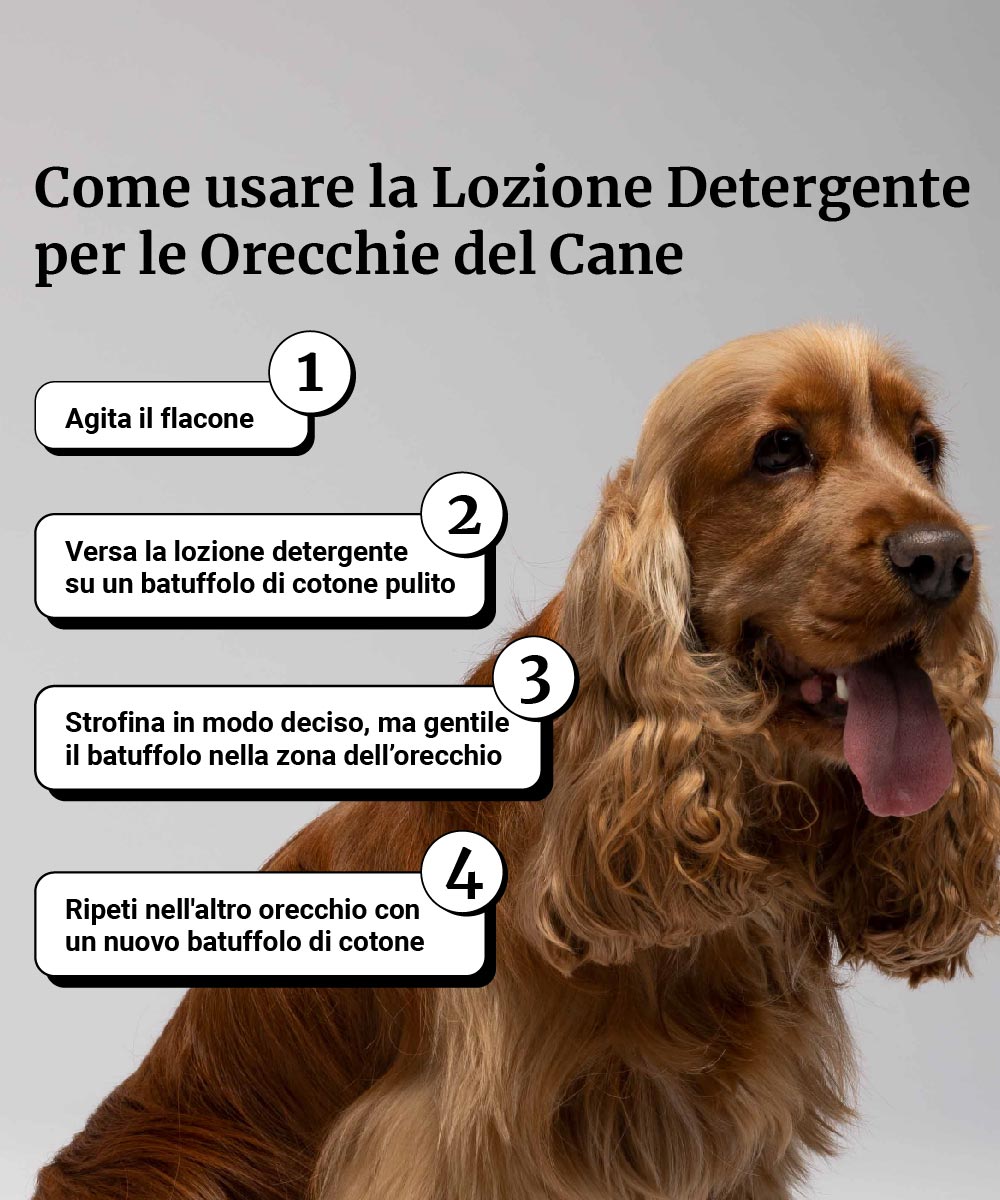 Lozione detergente per le orecchie