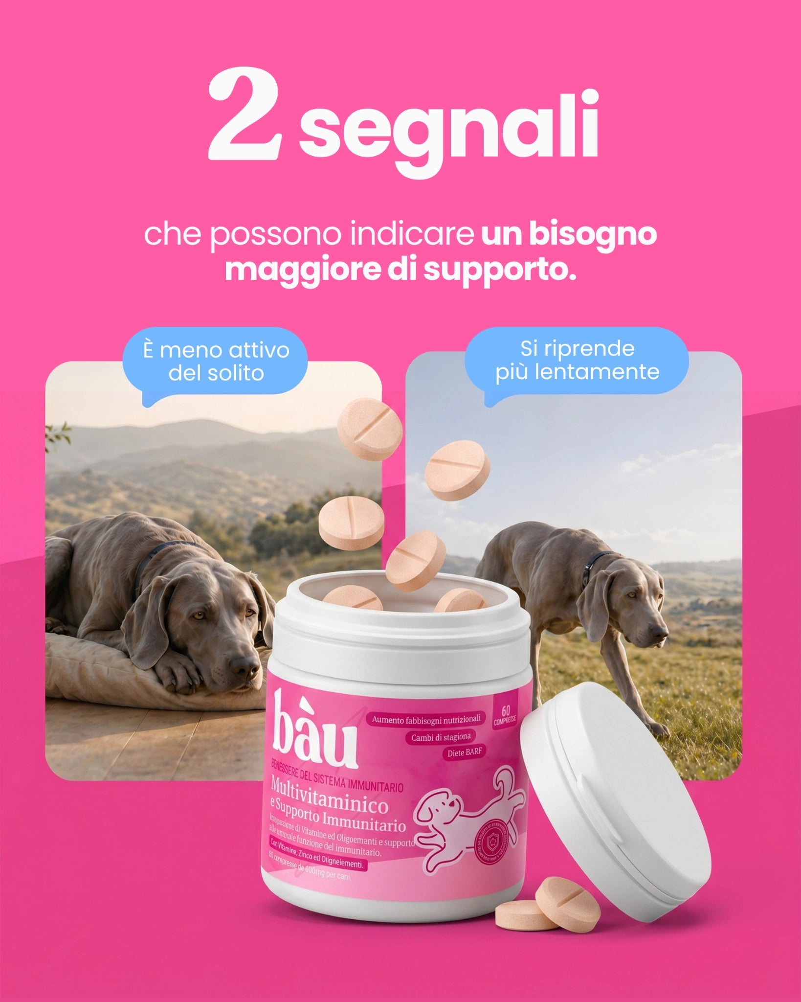 Multivitaminico e Supporto Immunitario