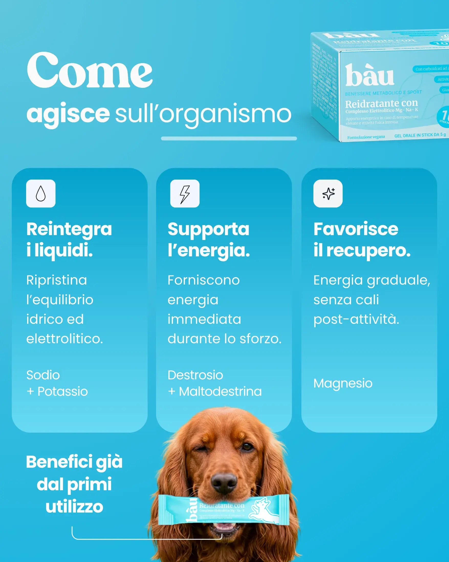 Reidratante con Complesso Elettrolitico