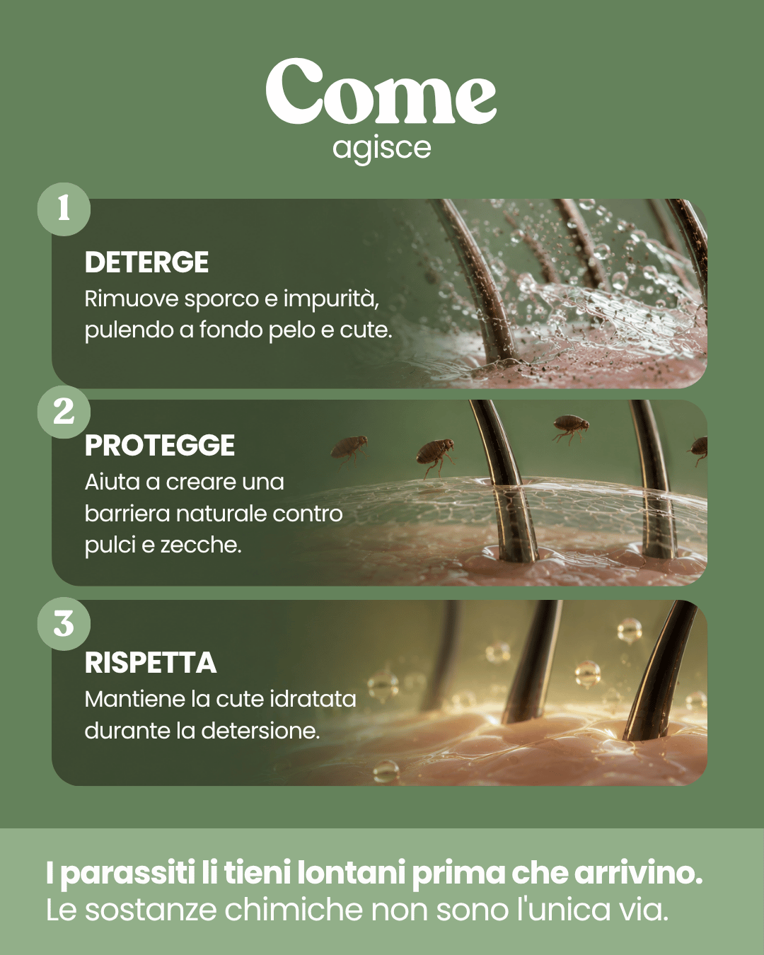 Shampoo Antiparassitario