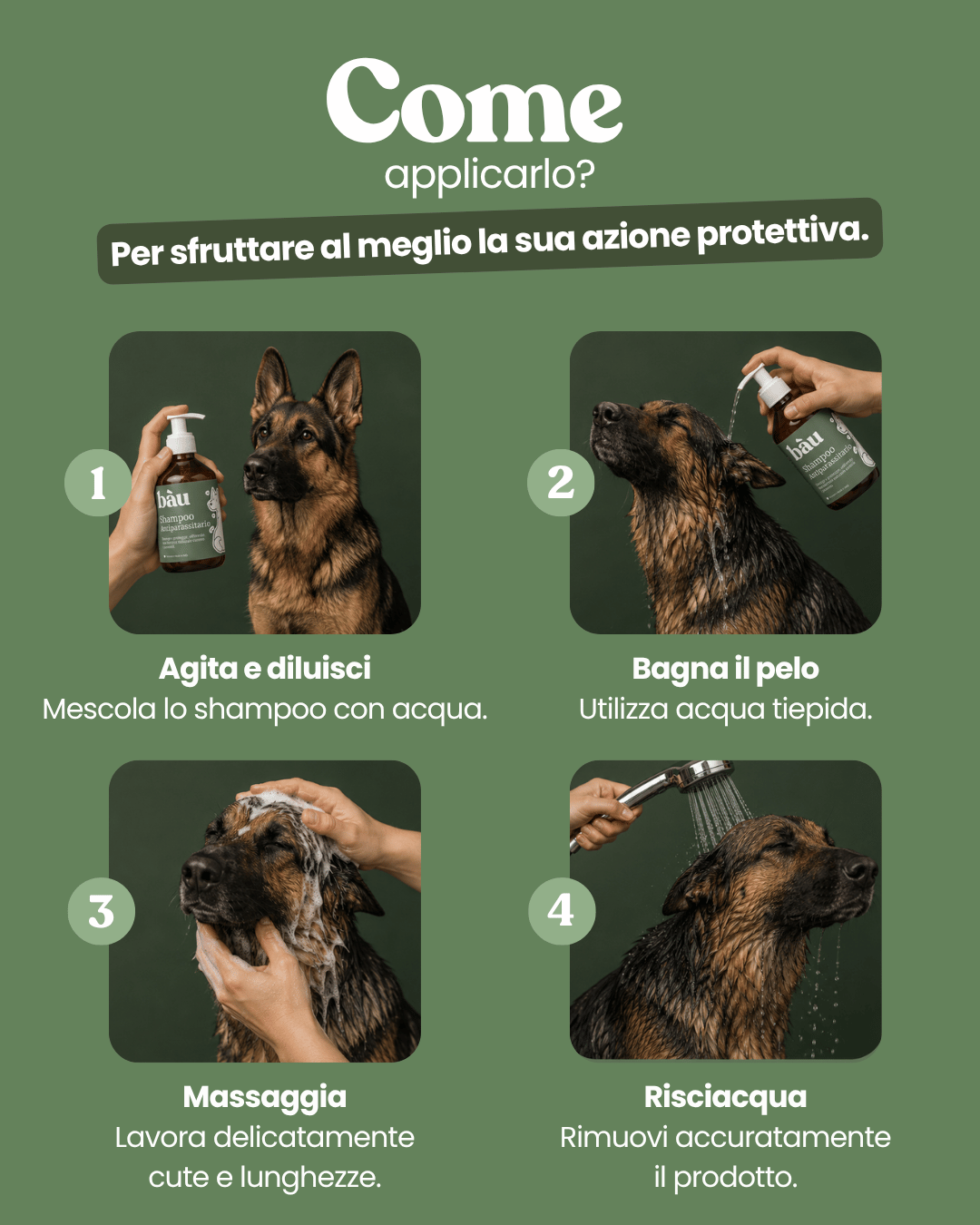 Shampoo Antiparassitario