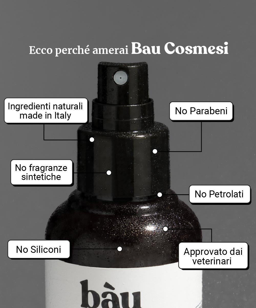 pasta de dientes en aerosol