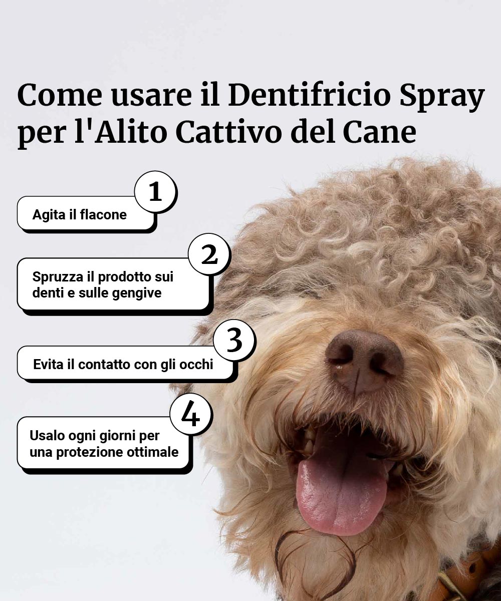 pasta de dientes en aerosol