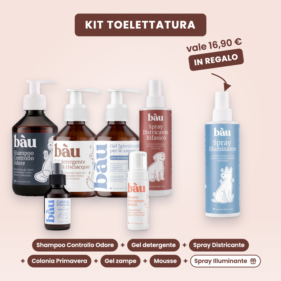 Kit Toelettatura: shampoo, gel detergente, spray districante, colonia, gel zampe, mousse e Spray Illuminante in regalo