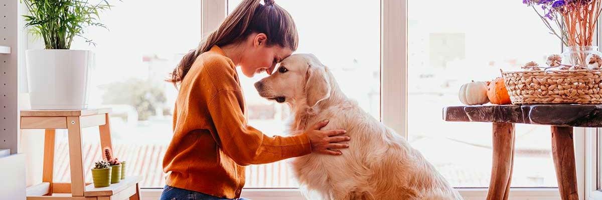 Come creare un ambiente rilassante e confortevole per il tuo cane a casa