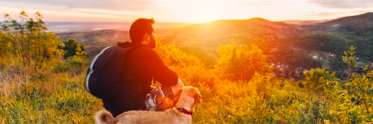 Cani e gite in montagna: consigli per un’esperienza sicura