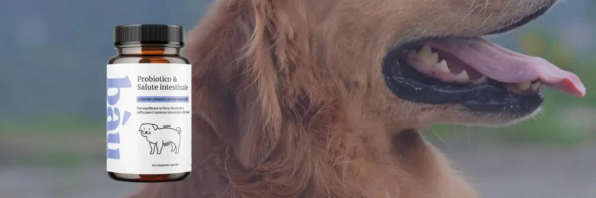 Probiotici per cani: gli ingredienti naturali scelti da Bau Cosmesi
