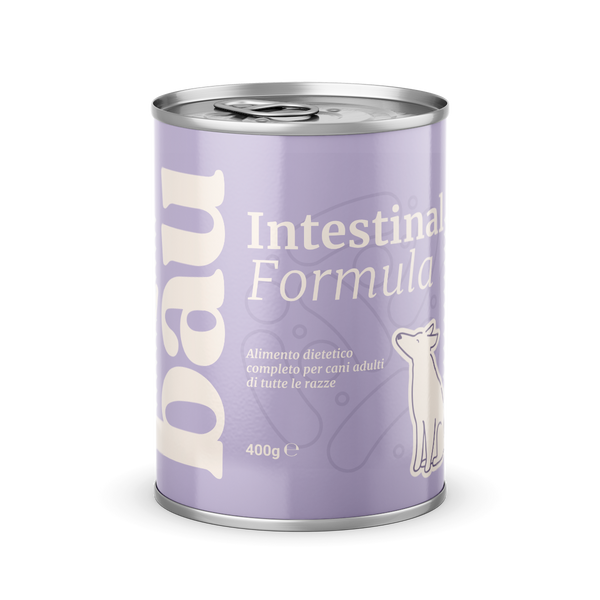 Patè Intestinal Formula per cani adulti
