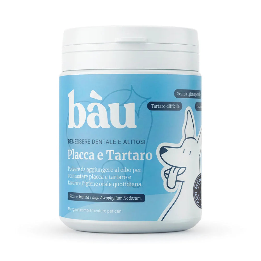 Placca e Tartaro