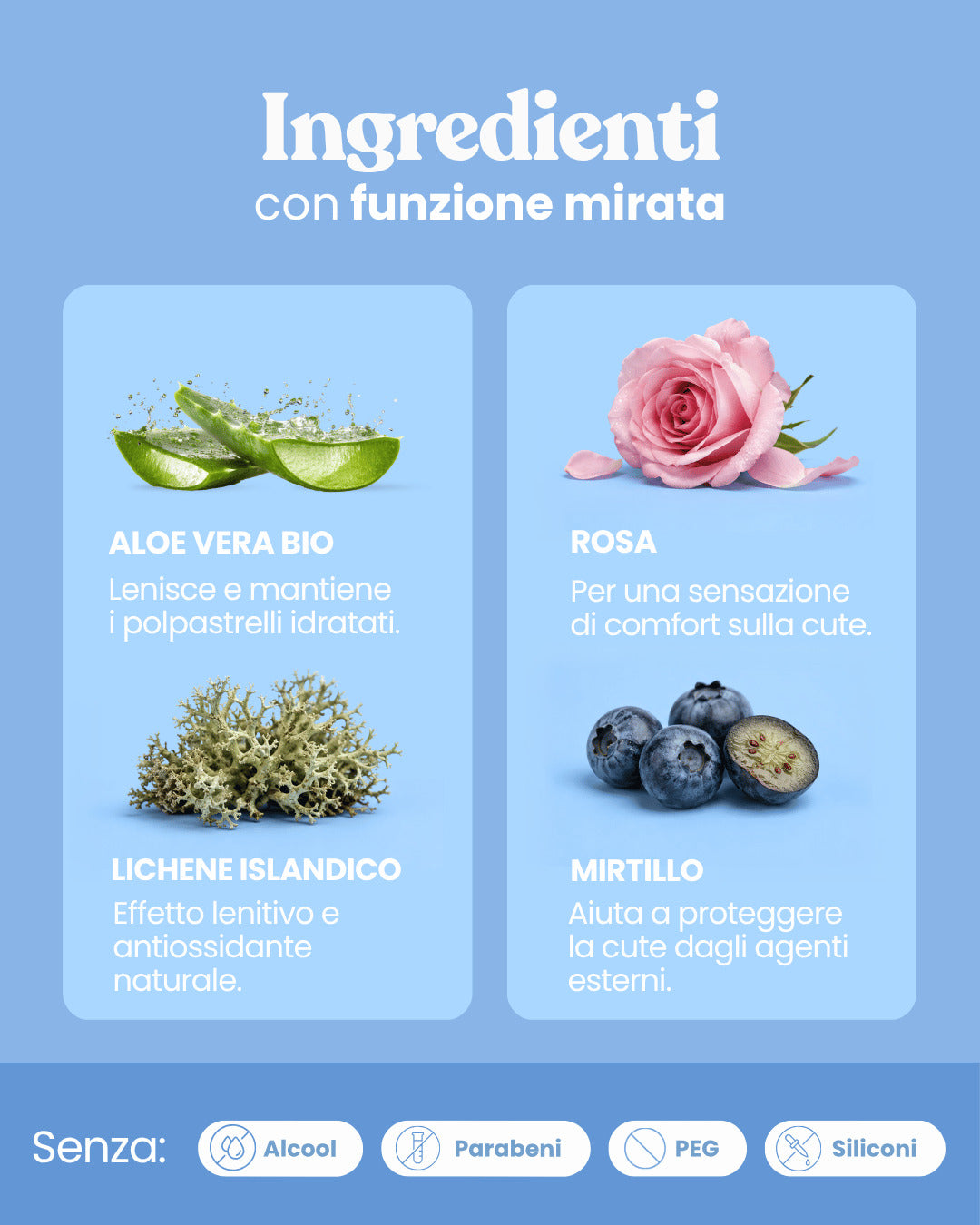 Gel igienizzante per le zampe senza risciacquo