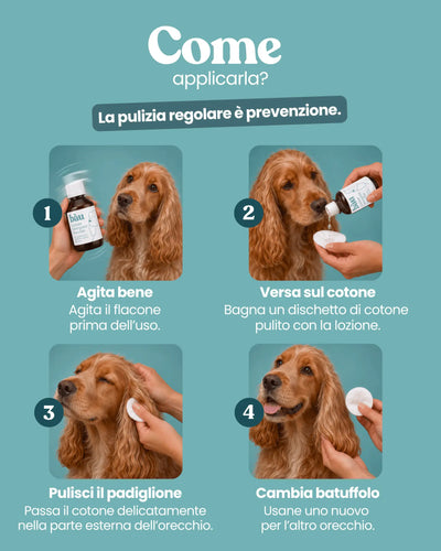 Lozione detergente per le orecchie