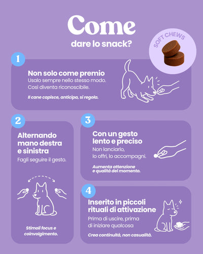 Pancia Felice