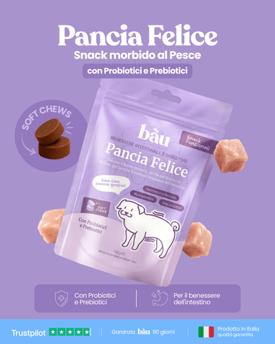 Pancia Felice