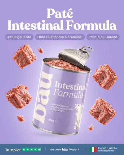 Patè Intestinal Formula per cani adulti