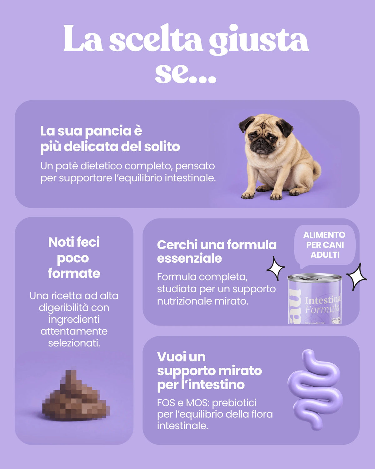 Patè Intestinal Formula per cani adulti