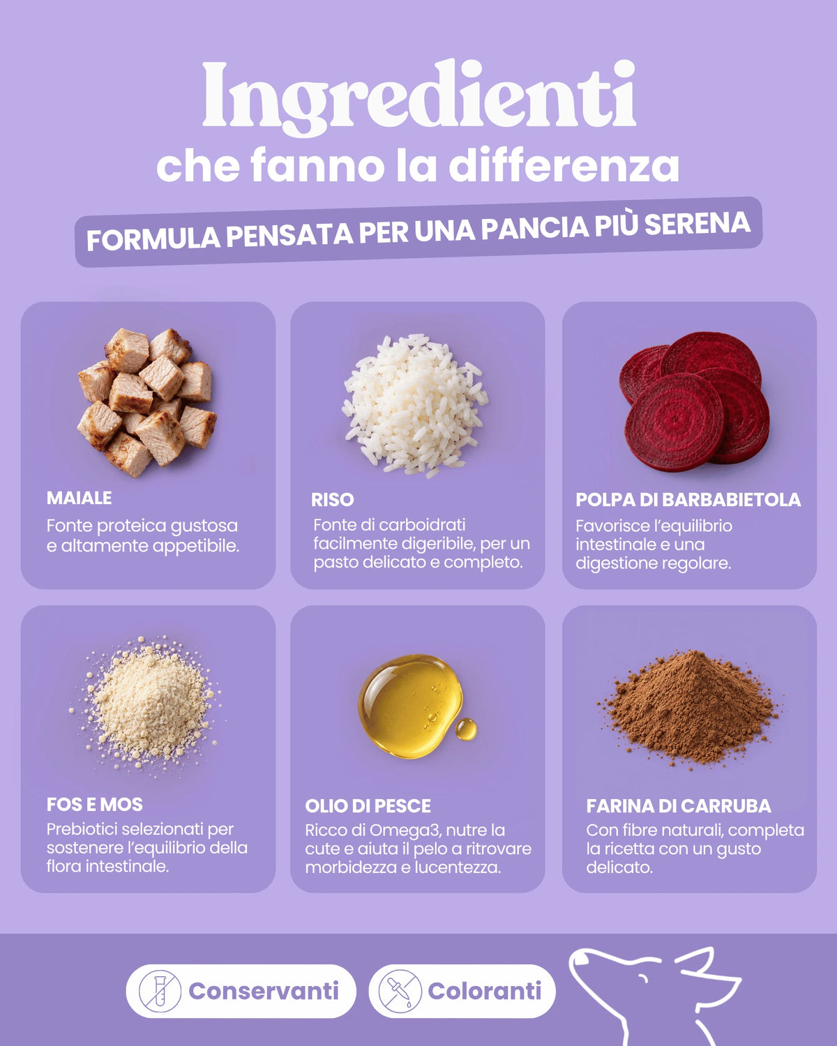 Patè Intestinal Formula per cani adulti