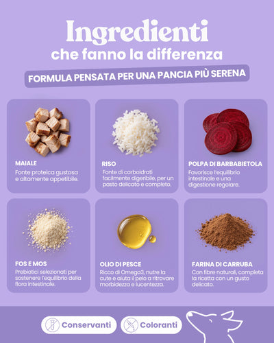 Patè Intestinal Formula per cani adulti