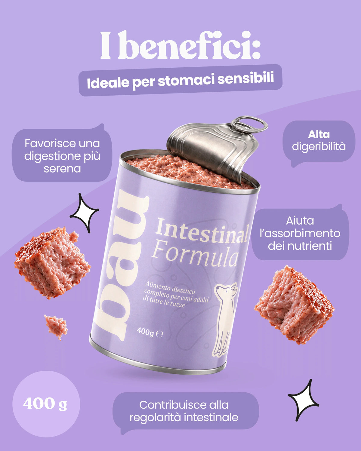 Patè Intestinal Formula per cani adulti
