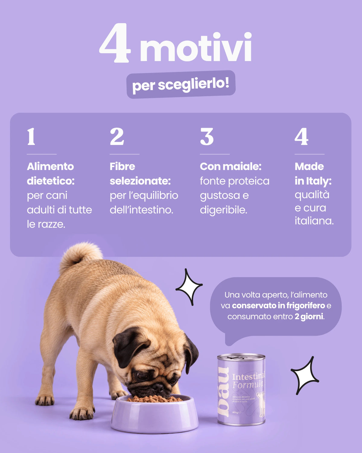 Patè Intestinal Formula per cani adulti