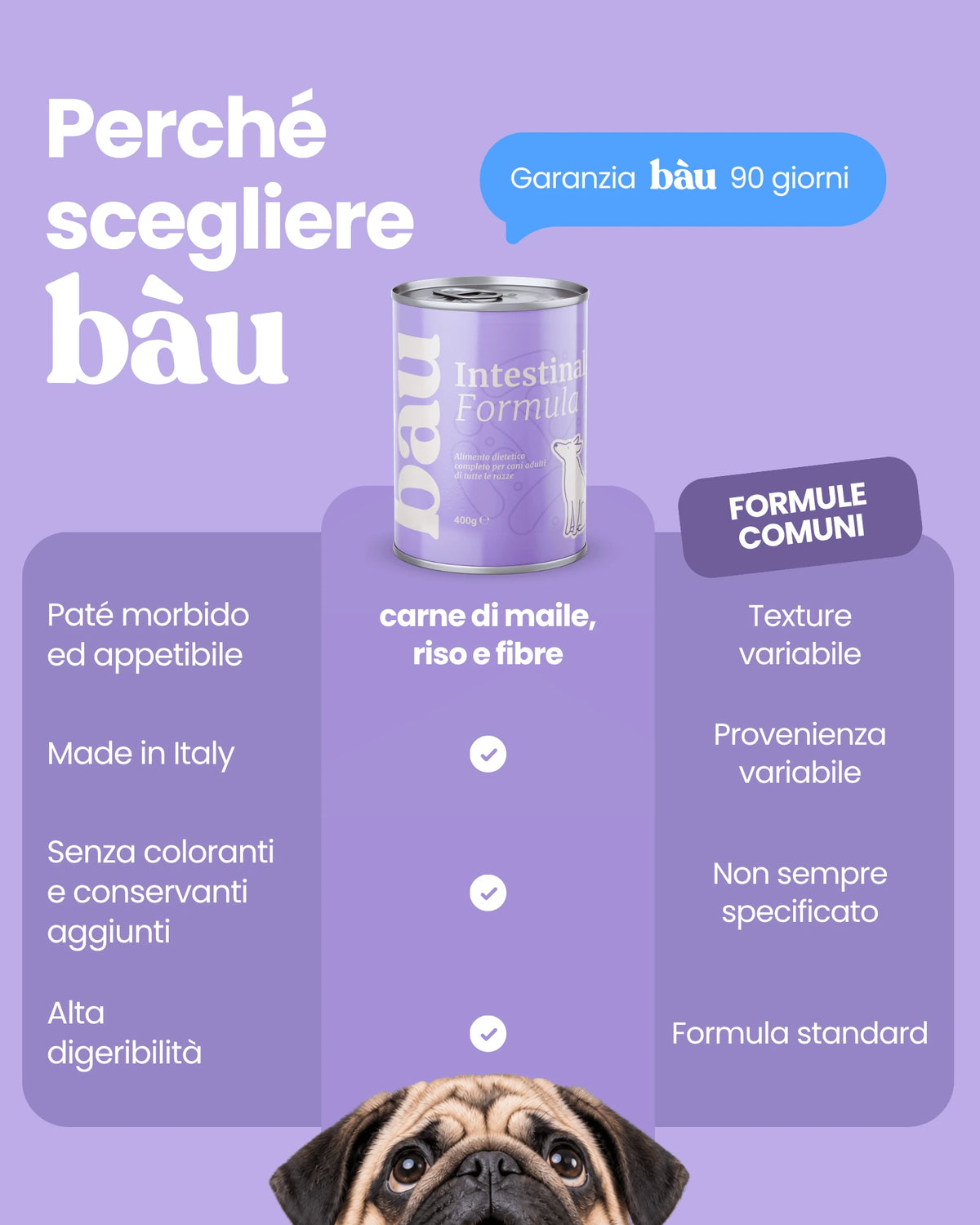 Patè Intestinal Formula per cani adulti