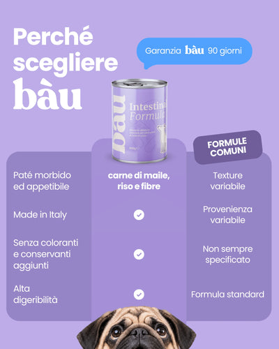 Patè Intestinal Formula per cani adulti