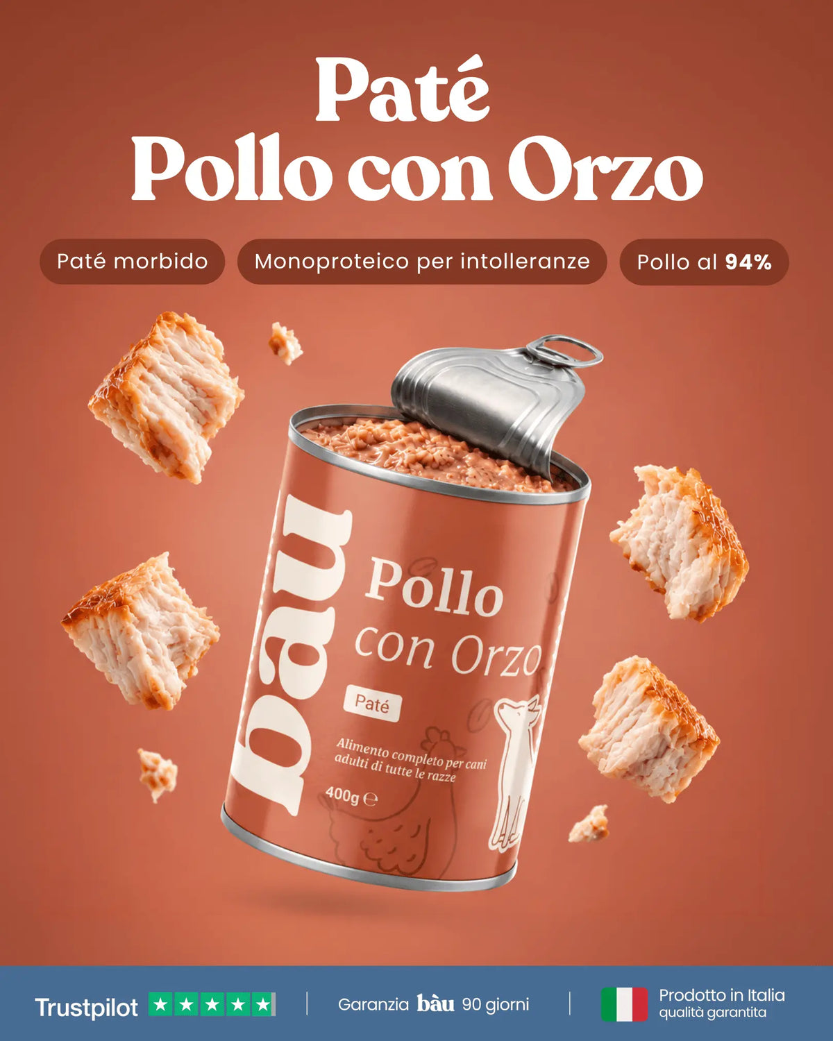 Patè al Pollo per cane adulti