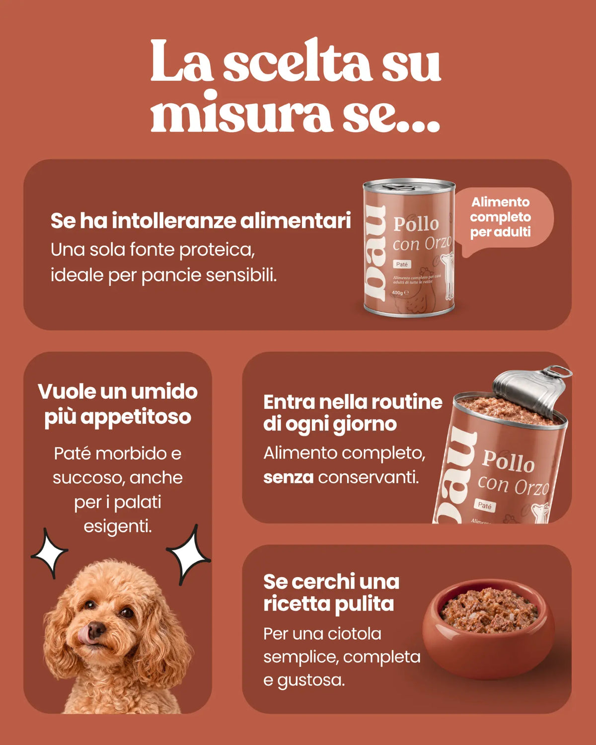 Patè al Pollo per cane adulti