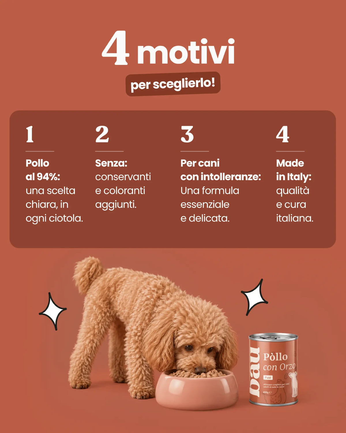Patè al Pollo per cane adulti