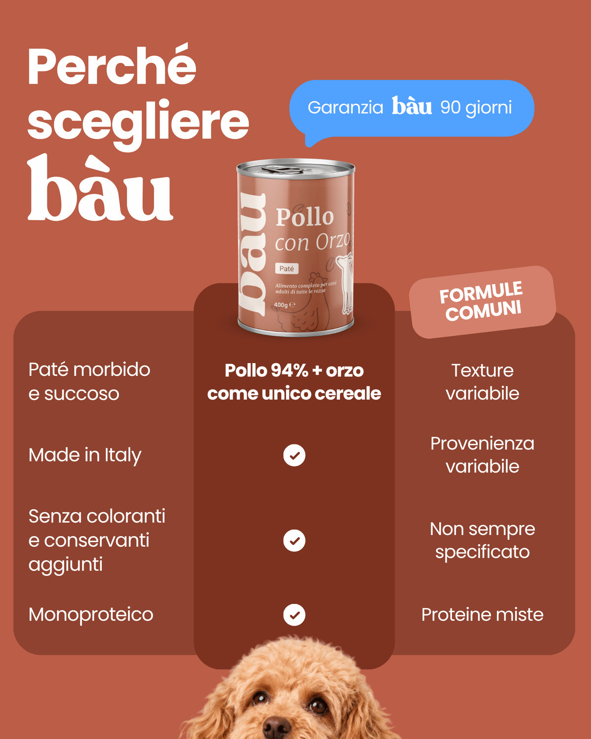 Patè al Pollo per cane adulti