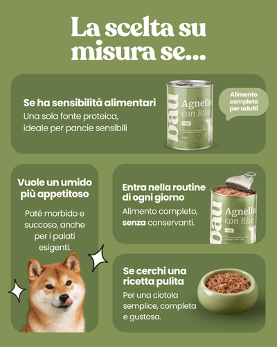 Patè all'Agnello per cane adulti