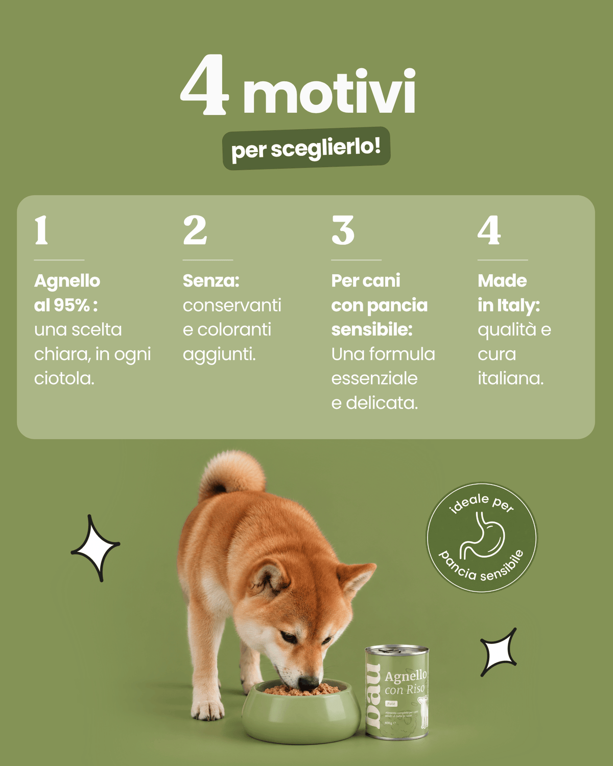 Patè all'Agnello per cane adulti