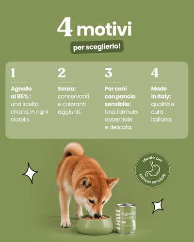 Patè all'Agnello per cane adulti