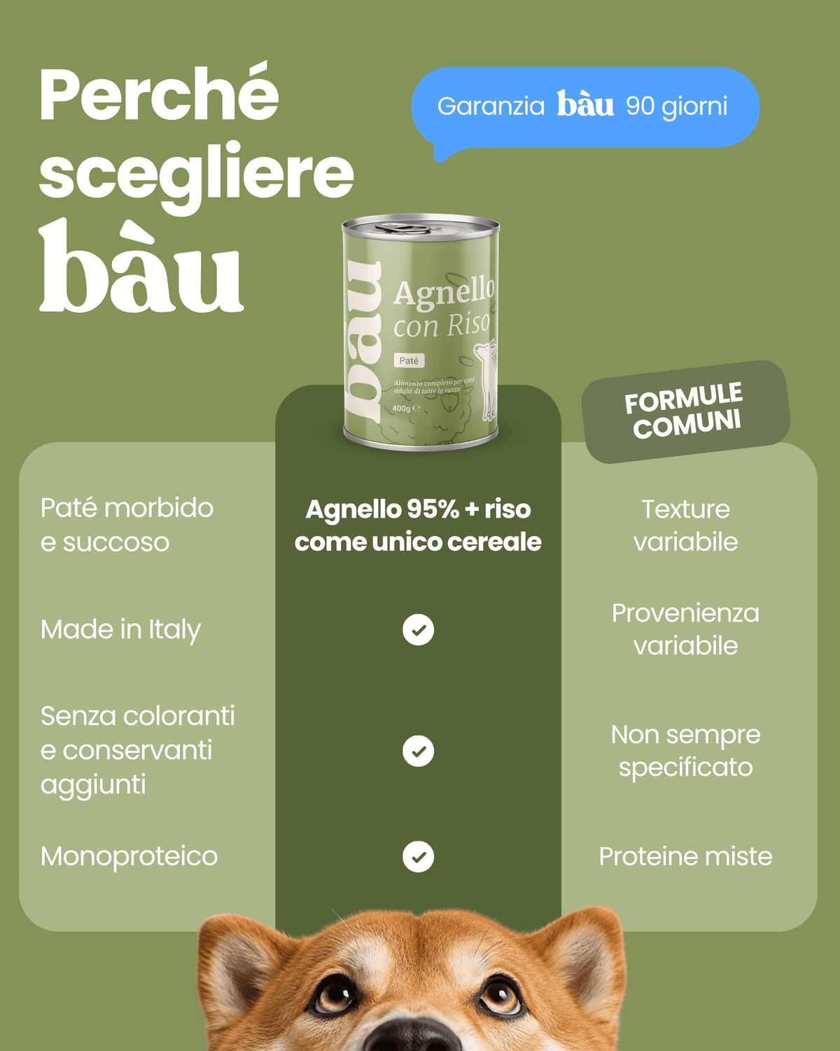 Patè all'Agnello per cane adulti