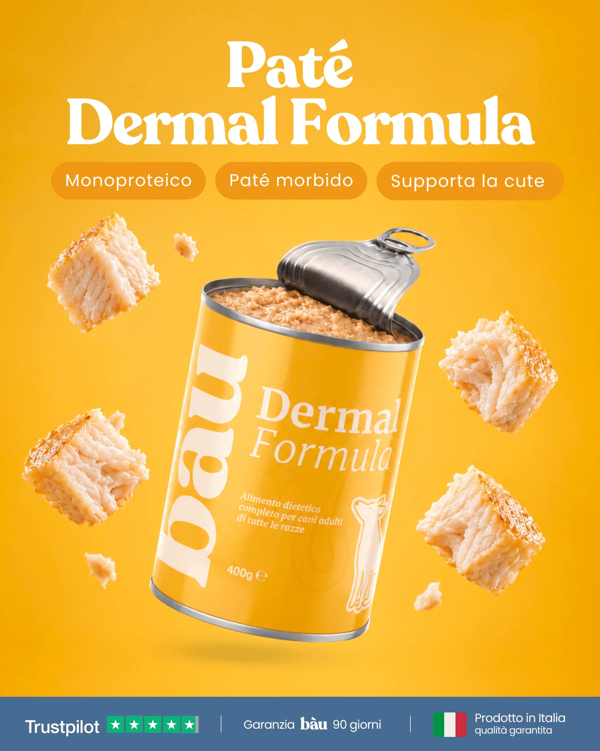 Patè Dermal Formula per cani adulti