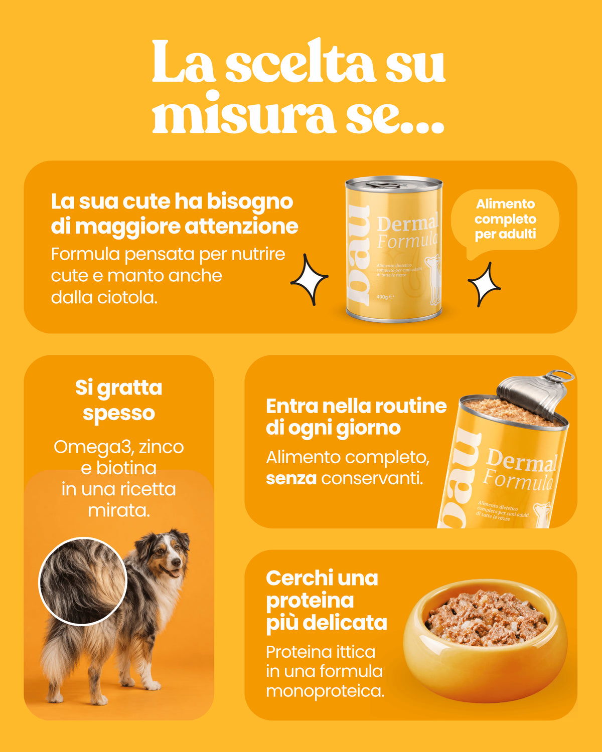 Patè Dermal Formula per cani adulti