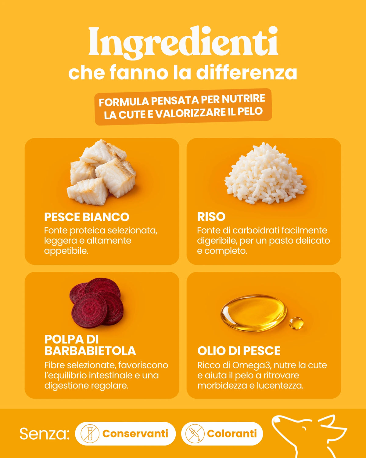 Patè Dermal Formula per cani adulti