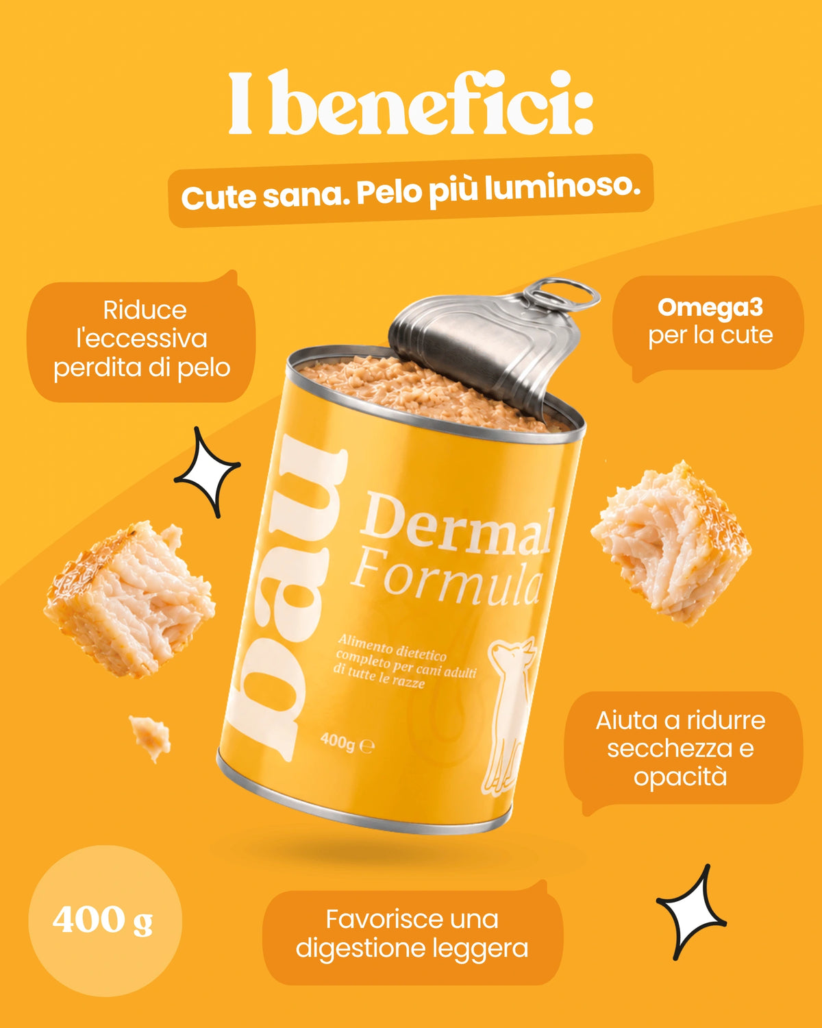 Patè Dermal Formula per cani adulti