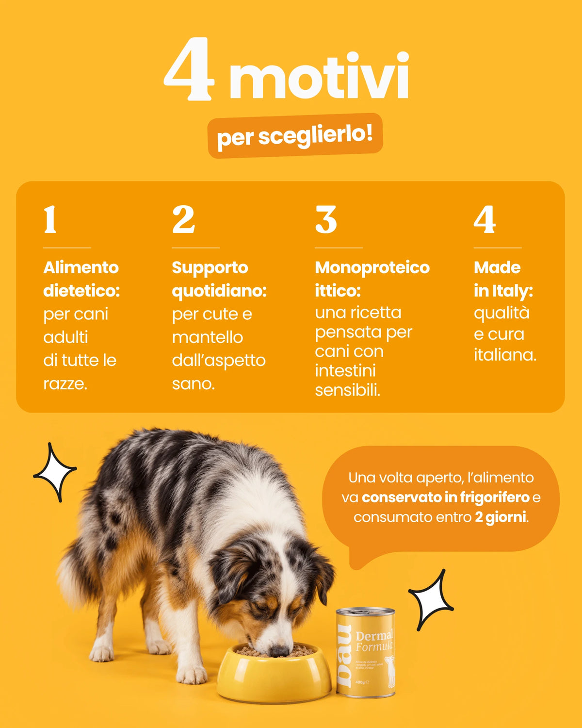 Patè Dermal Formula per cani adulti